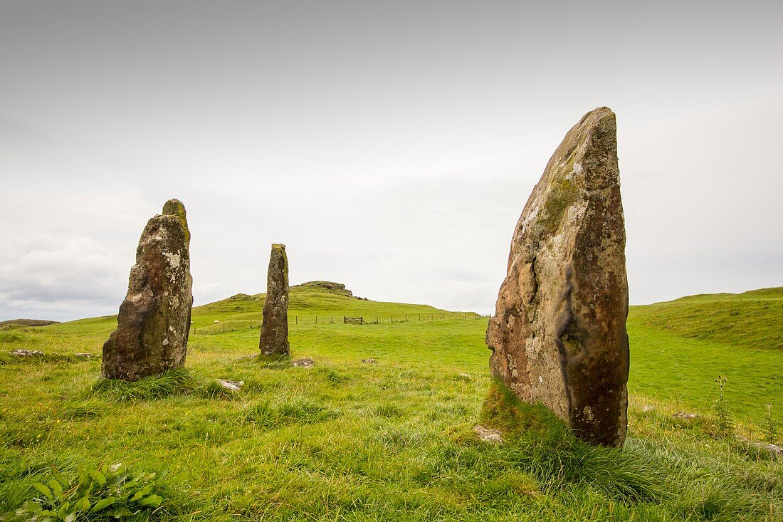 4000 year old Standing stones