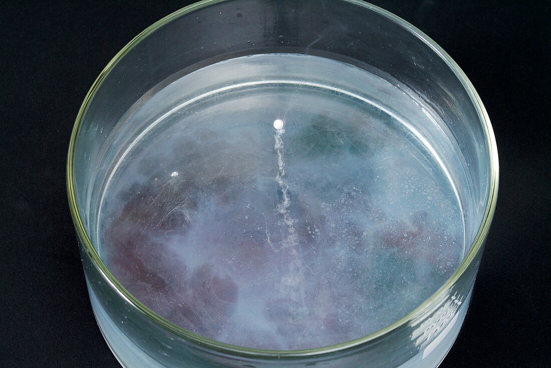 Sodium reacting with water