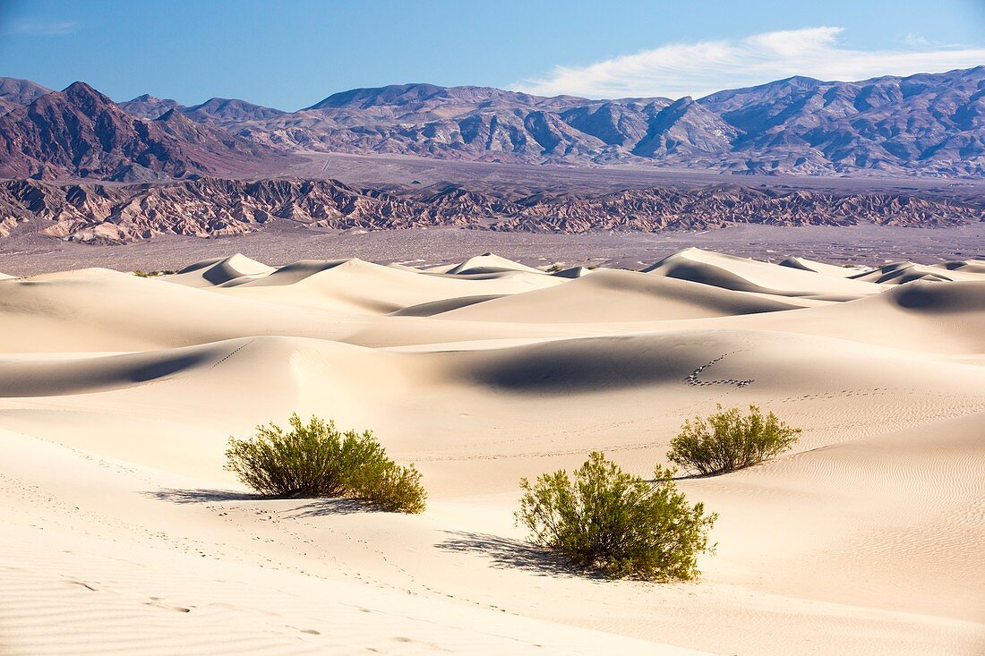 Mesquite flat sand dunes,Death Valley