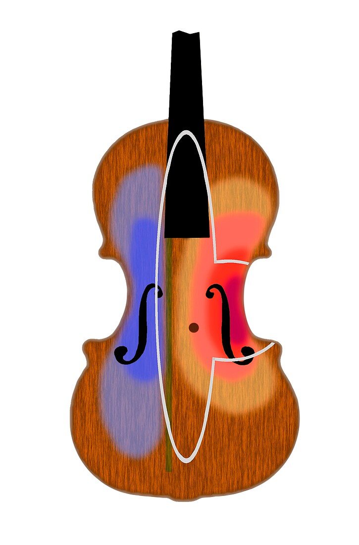 Violin vibration zones,illustration