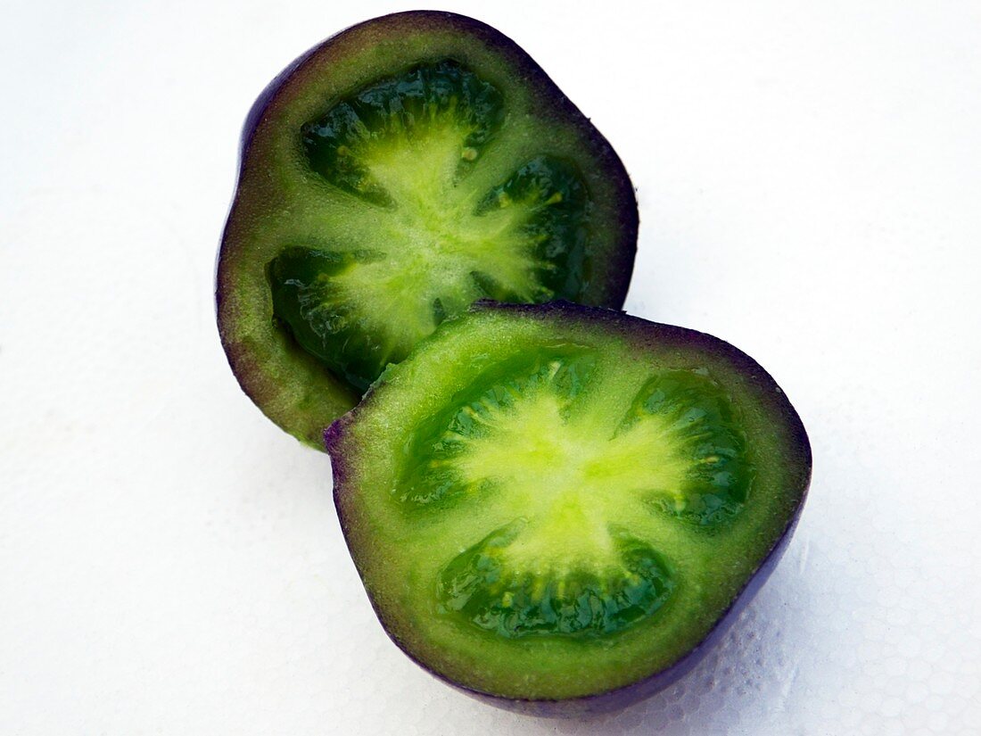 Unripe black tomatoes (Indigo Rose)