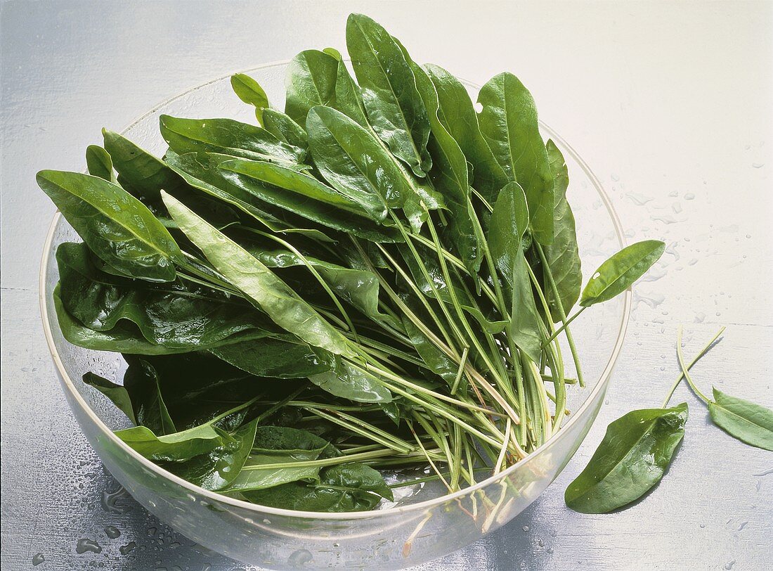 Sorrel Leaves in a Glass Bowl