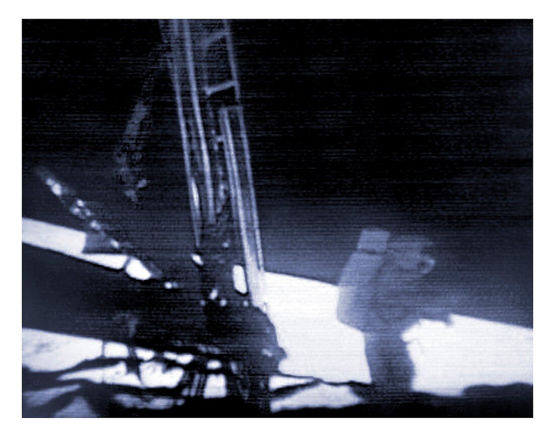 Apollo 11 Moon landing,image