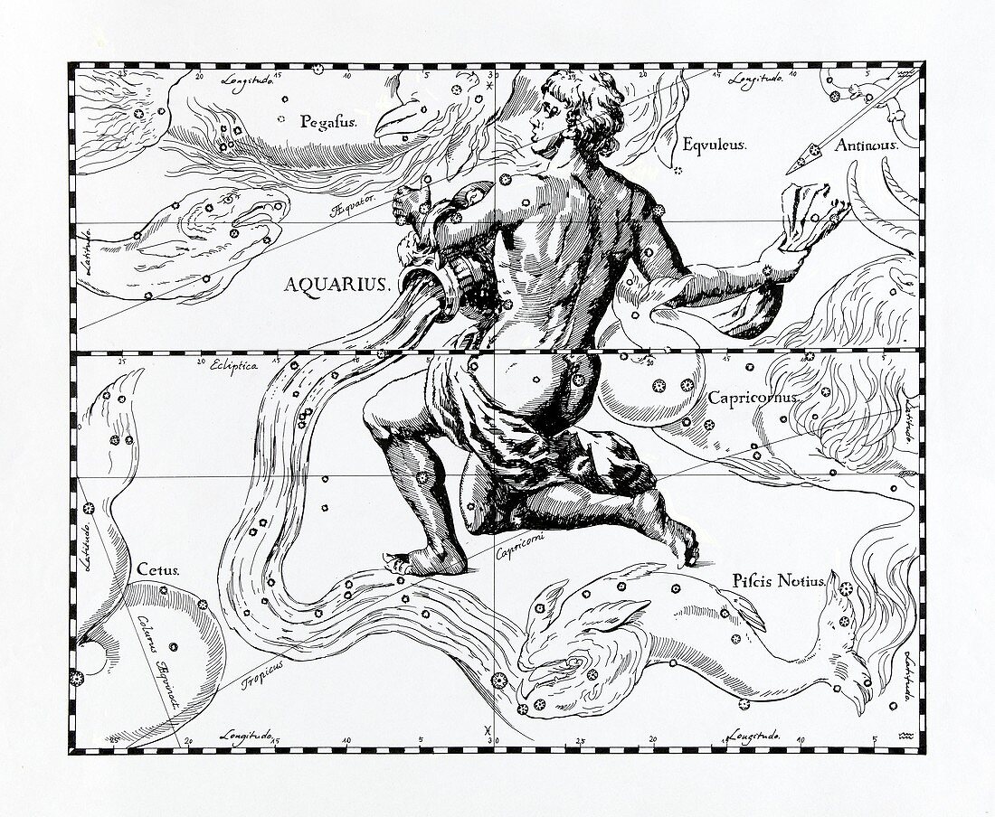 Aquarius,illustration