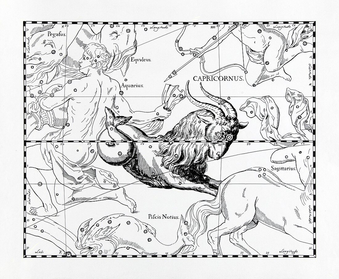 Capricorn,illustration