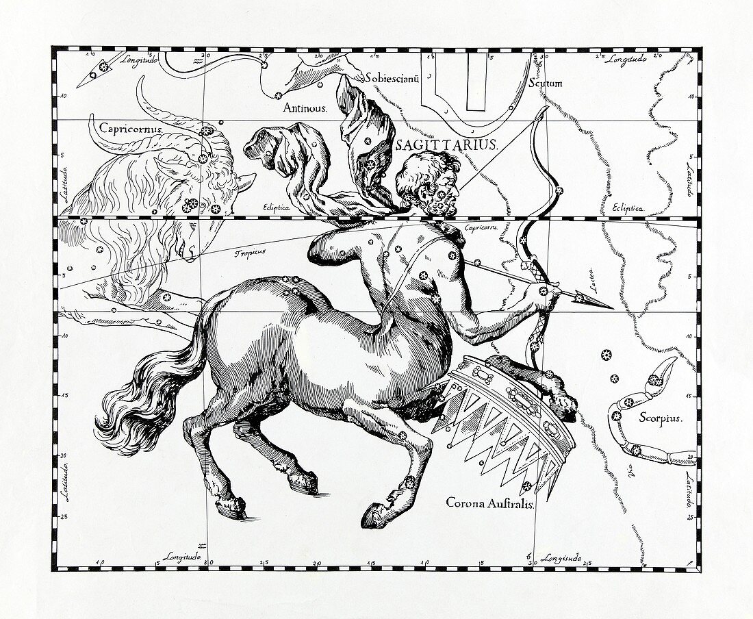 Sagittarius,illustration