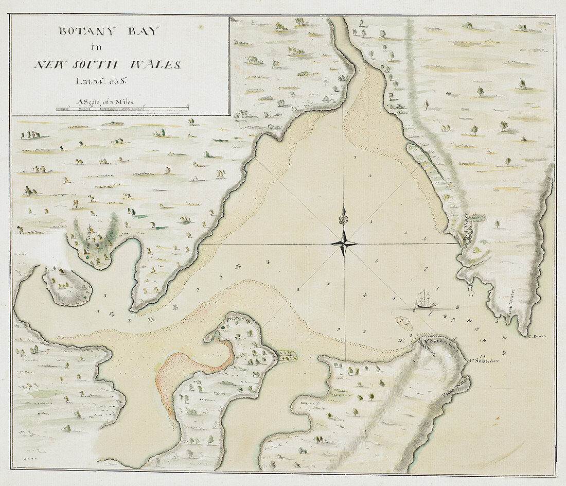 Cook's map of Botany Bay,illustration