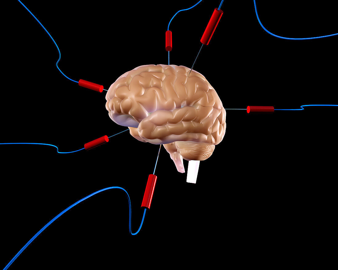 Brain experiment,conceptual illustration