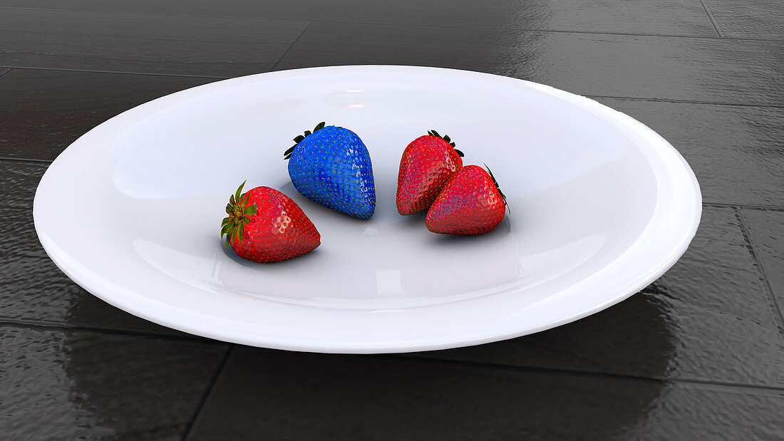 Genetically engineered strawberries