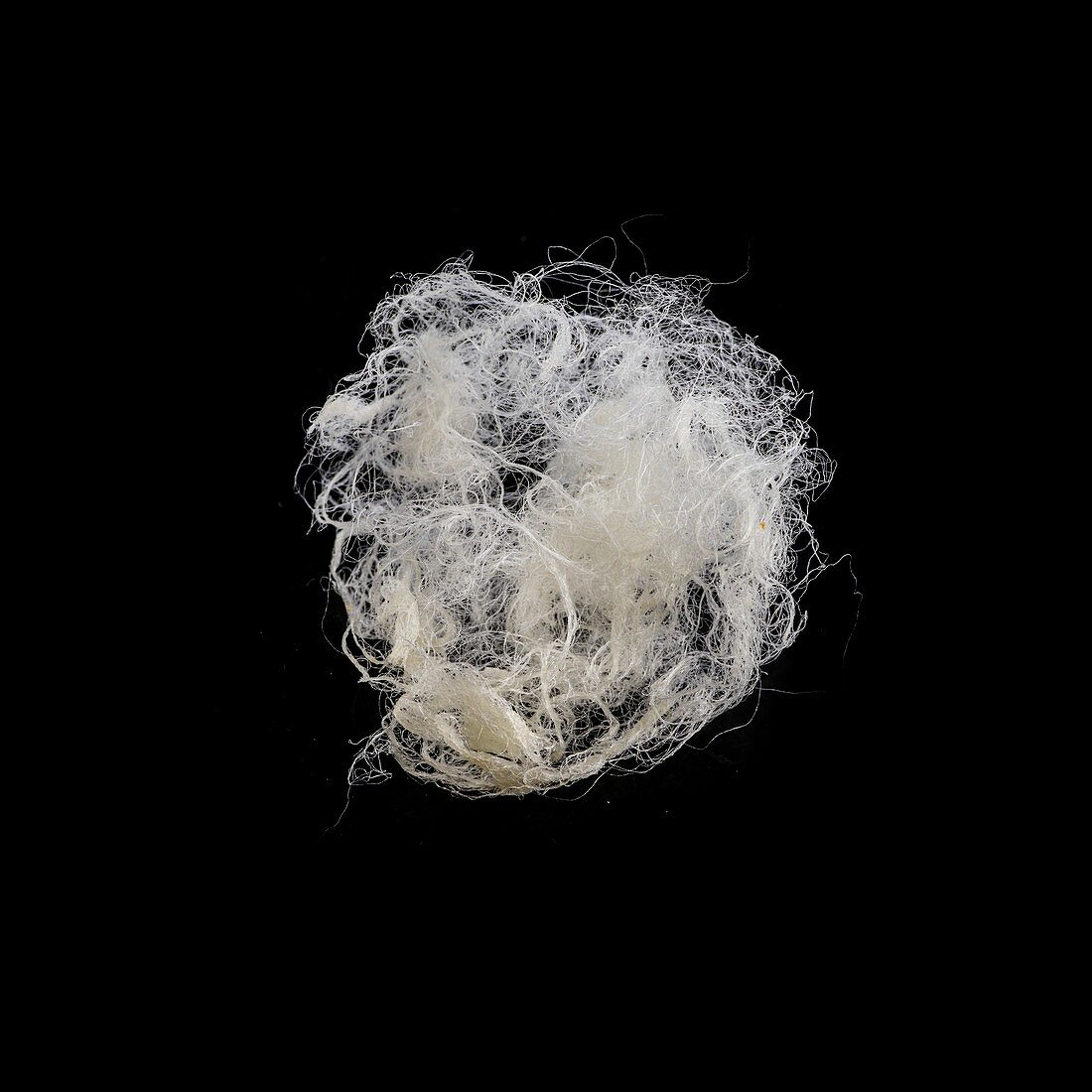 Silk fibres from cocoon