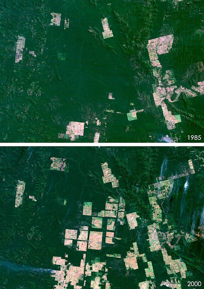Para,Brazil,deforestation 1992 and 2000