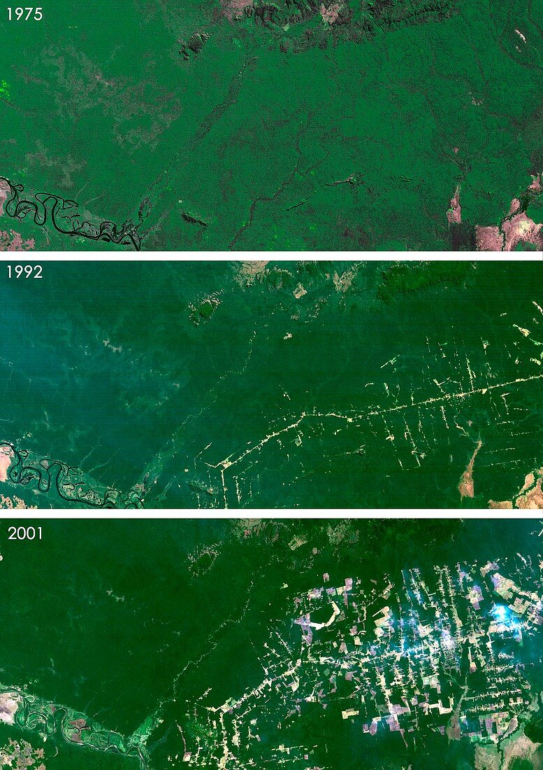 West Rondonia,Brazil,deforestation