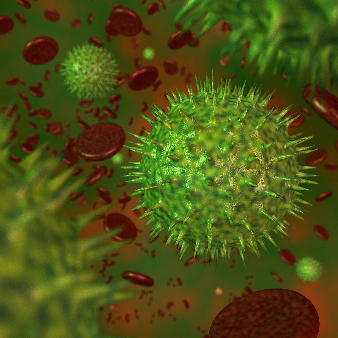 Haemorrhagic fever virus,illustration