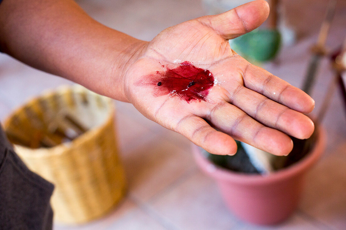 Cochineal dye