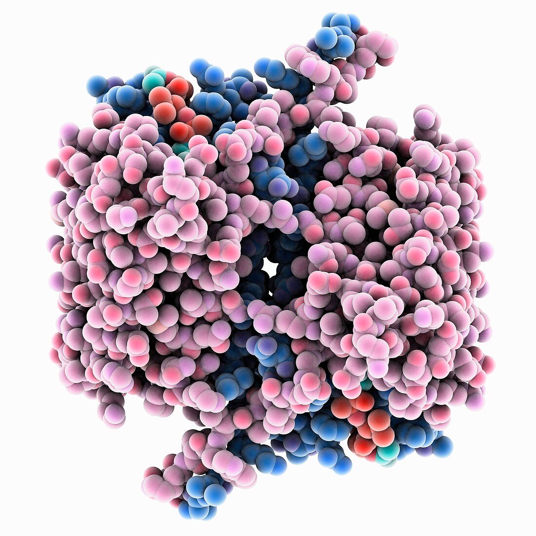 Caspase 1 with inhibitor