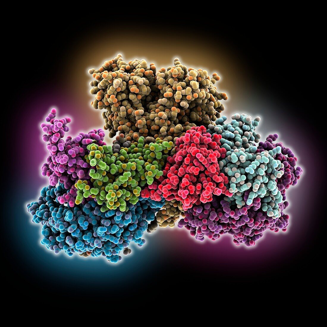 Respiratory complex I