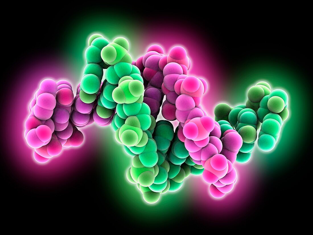 Synthetic DNA molecule