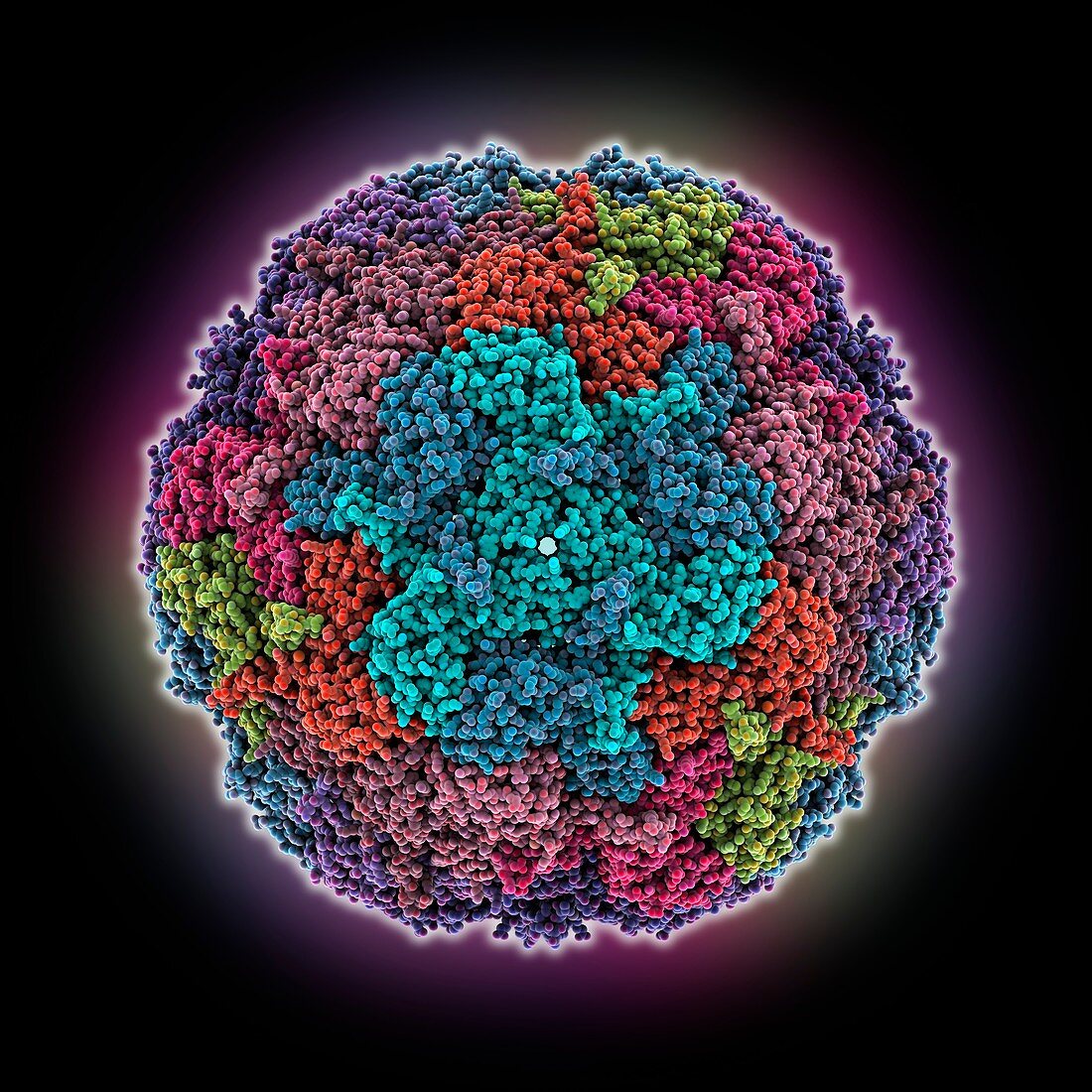 Bacterial nanocompartment