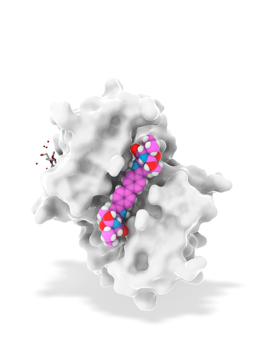 Daclatasvir and NS5A protein complex