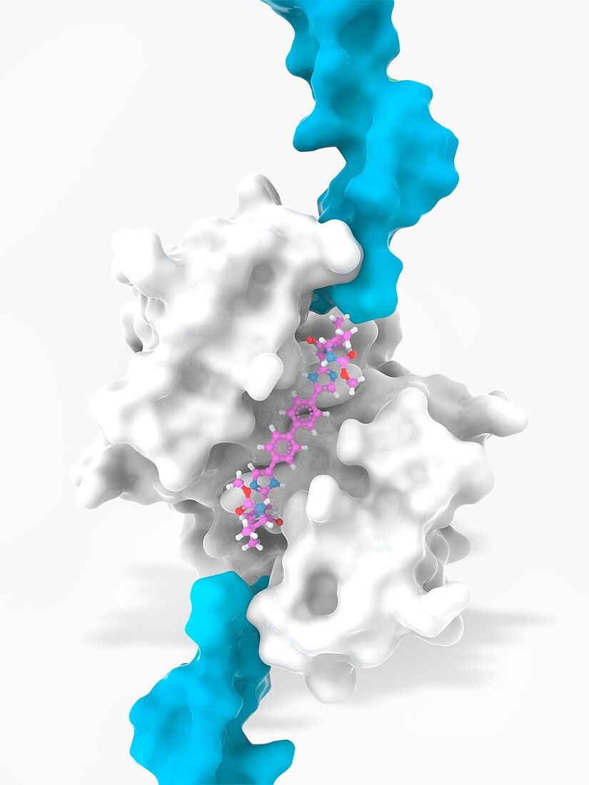 Daclatasvir and NS5A protein complex