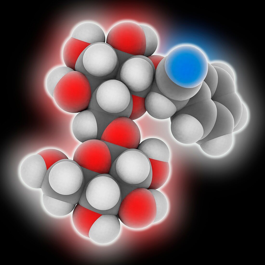 Amygdalin molecule