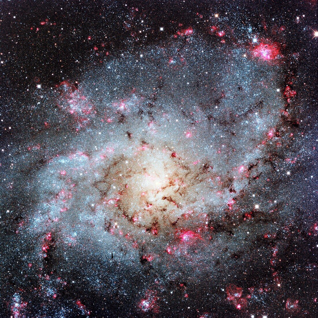Triangulum Galaxy,optical image