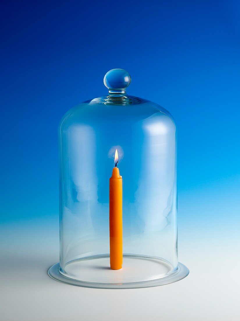 Candle in a bell jar