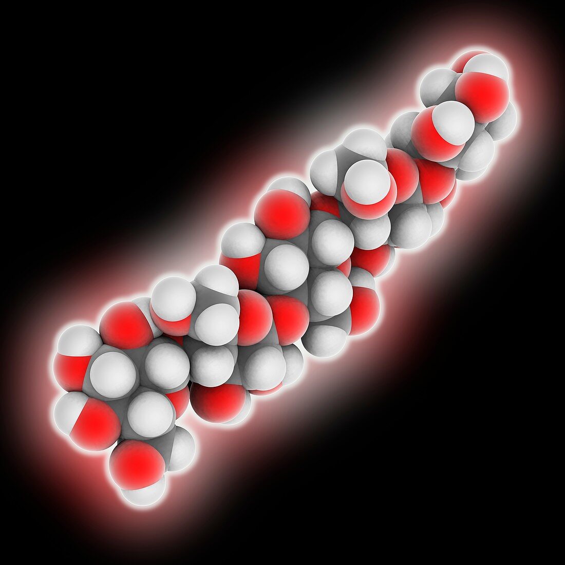 Cellulose molecular strand