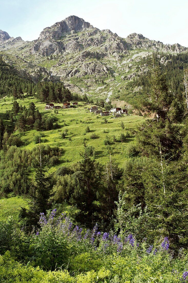High mountain pastures,Turkey