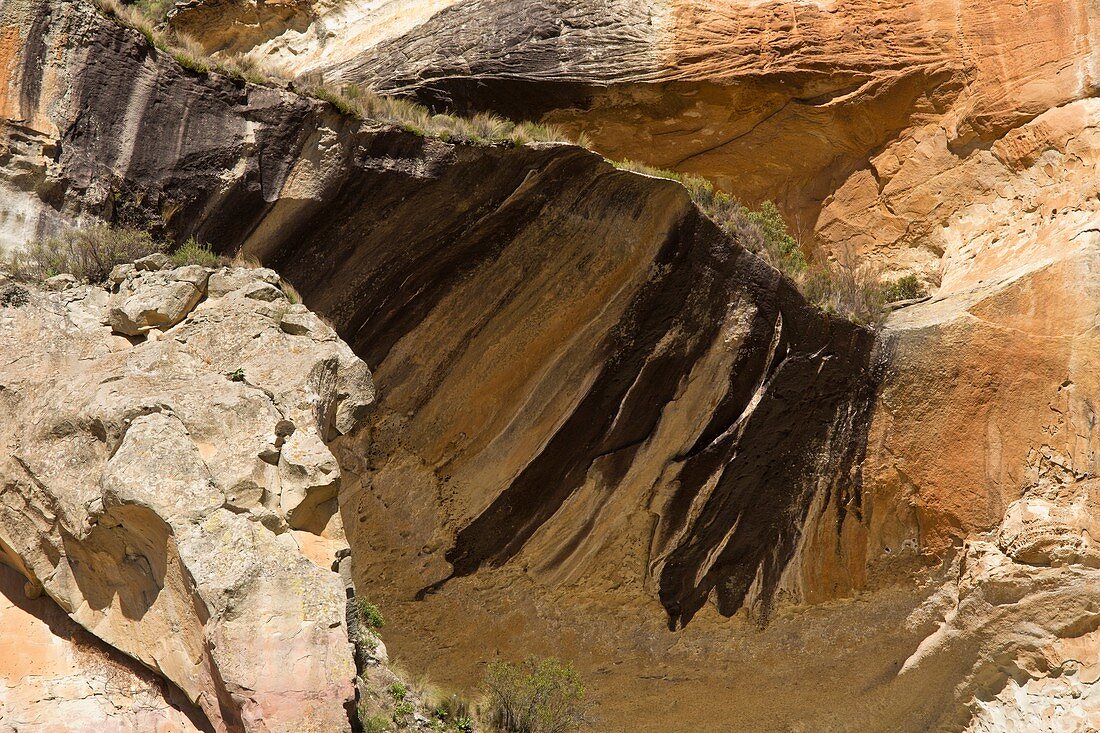 Rock varnish,Drakensberg Mountains