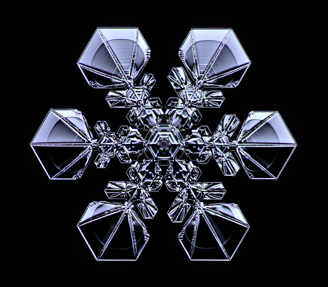 Snowflake,light micrograph