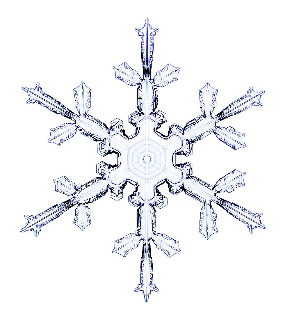 Snowflake,light micrograph