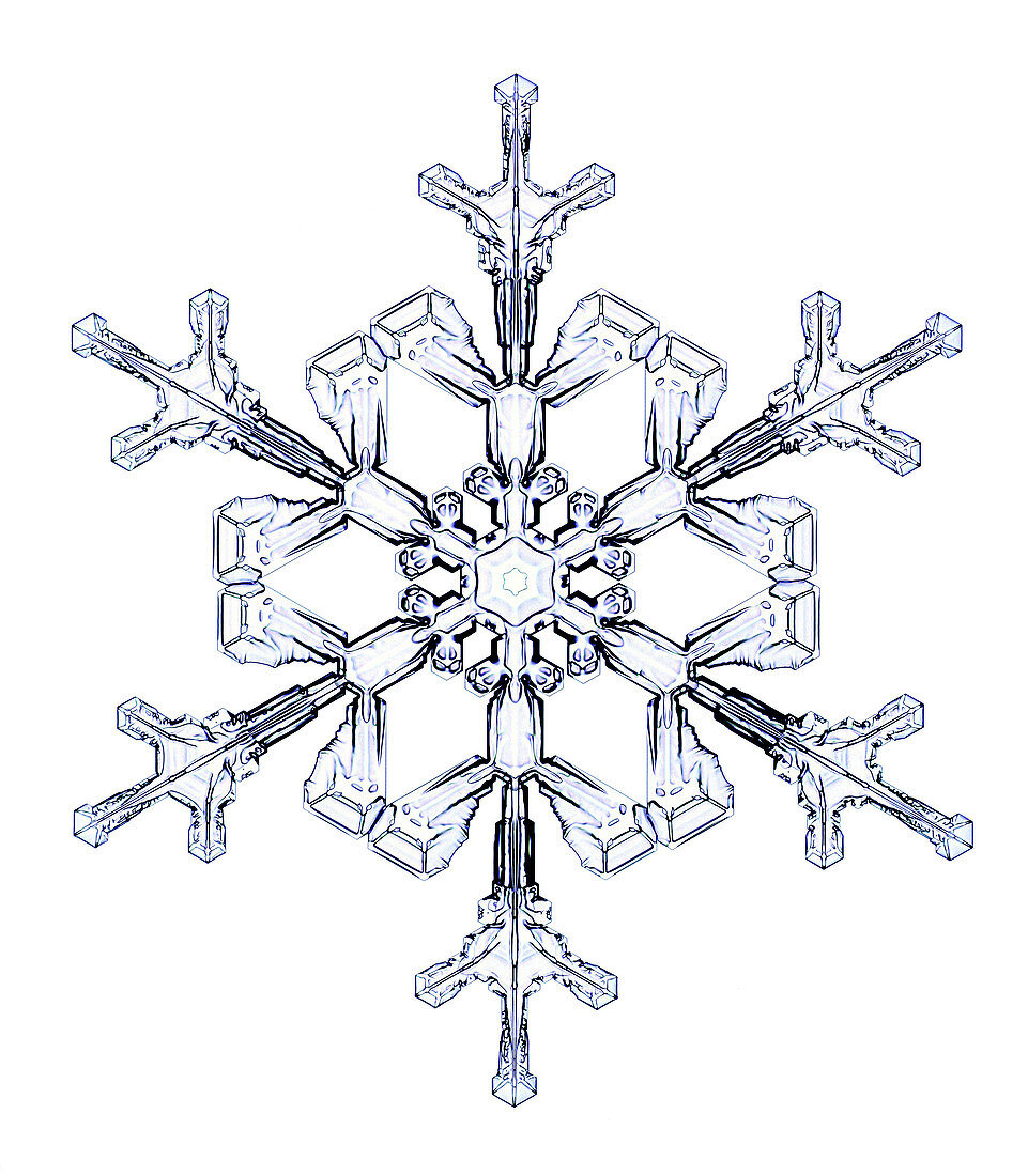 Snowflake,light micrograph