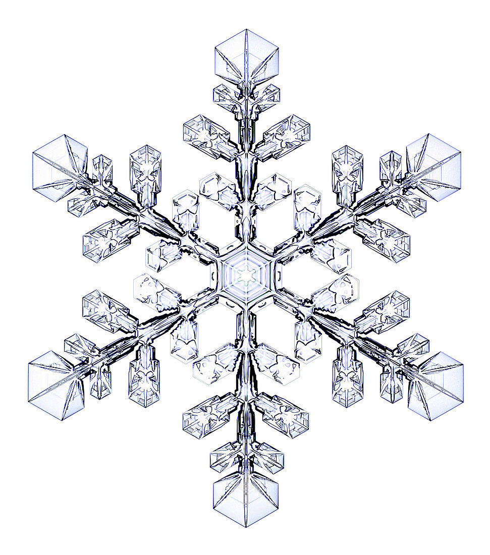 Snowflake,light micrograph