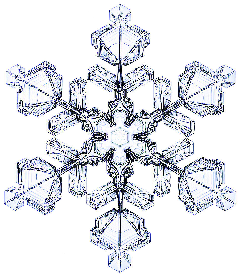 Snowflake,light micrograph