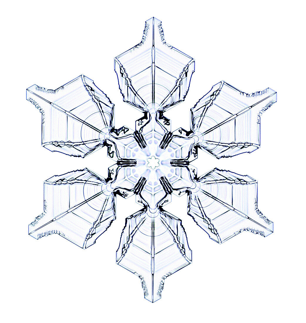 Snowflake,light micrograph