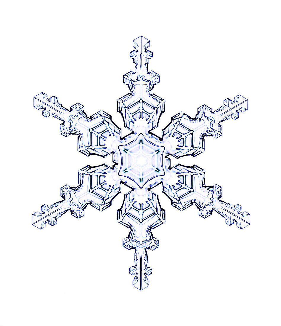 Snowflake,light micrograph