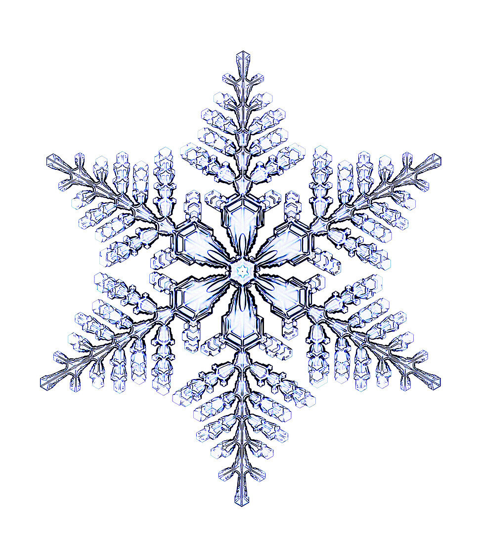 Snowflake,light micrograph