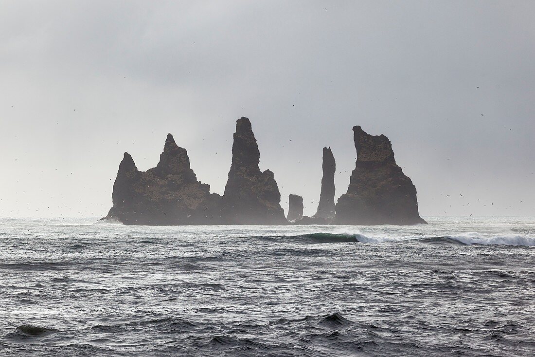 Seastacks near Vik,Iceland