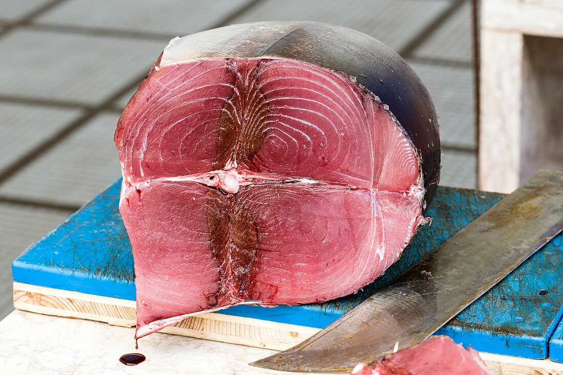 Tuna fish and knife