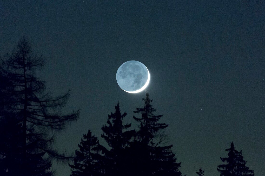 Moon with earthlight and trees