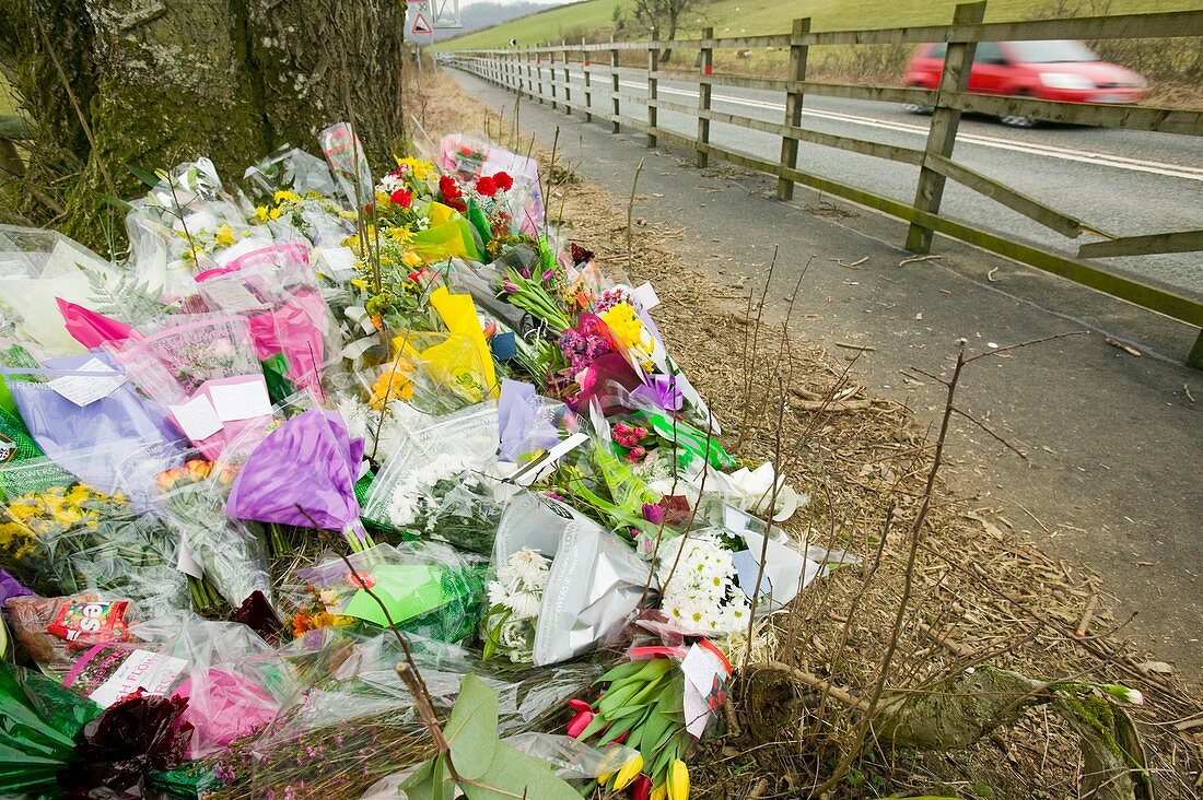 Memorial of a car crash victim