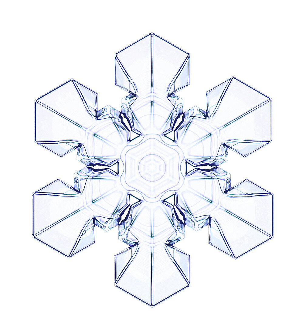 Snowflake,light micrograph