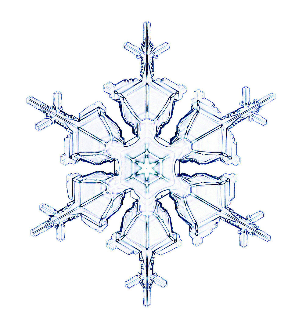 Snowflake,light micrograph