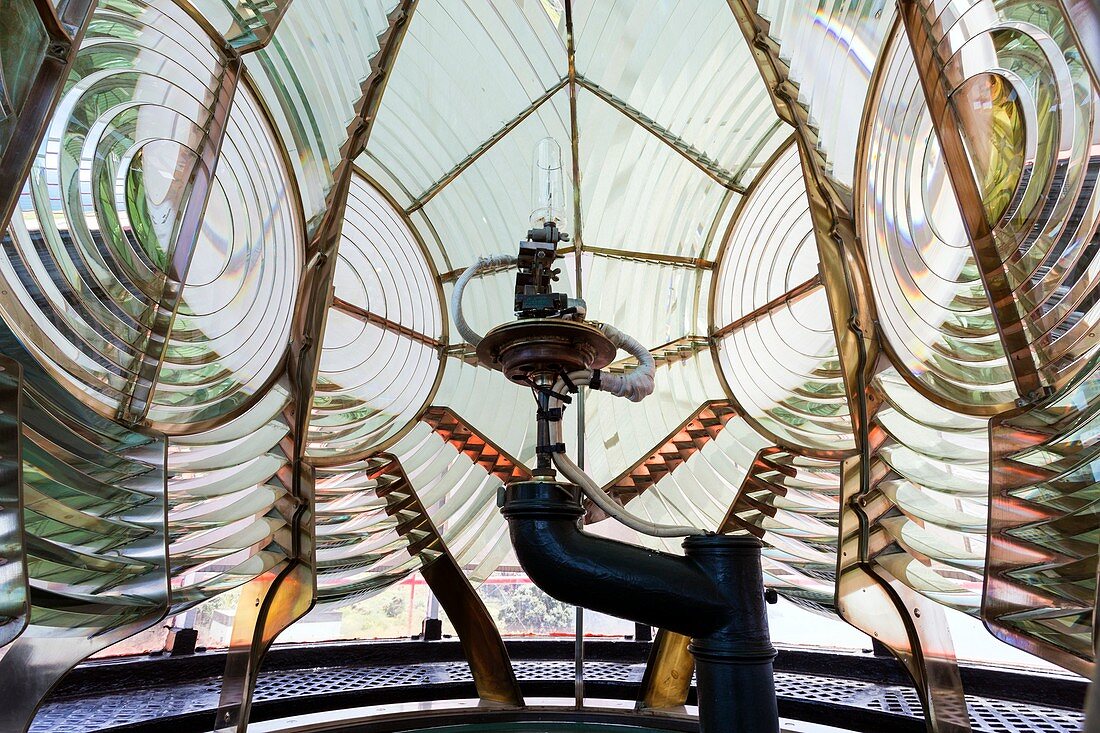 Fresnel lens and lamp