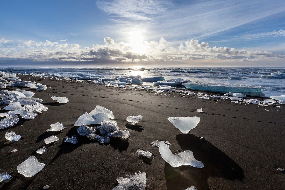 Iceberg scattered on beach