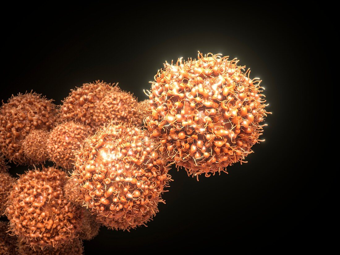 Cancer cells,3D illustration