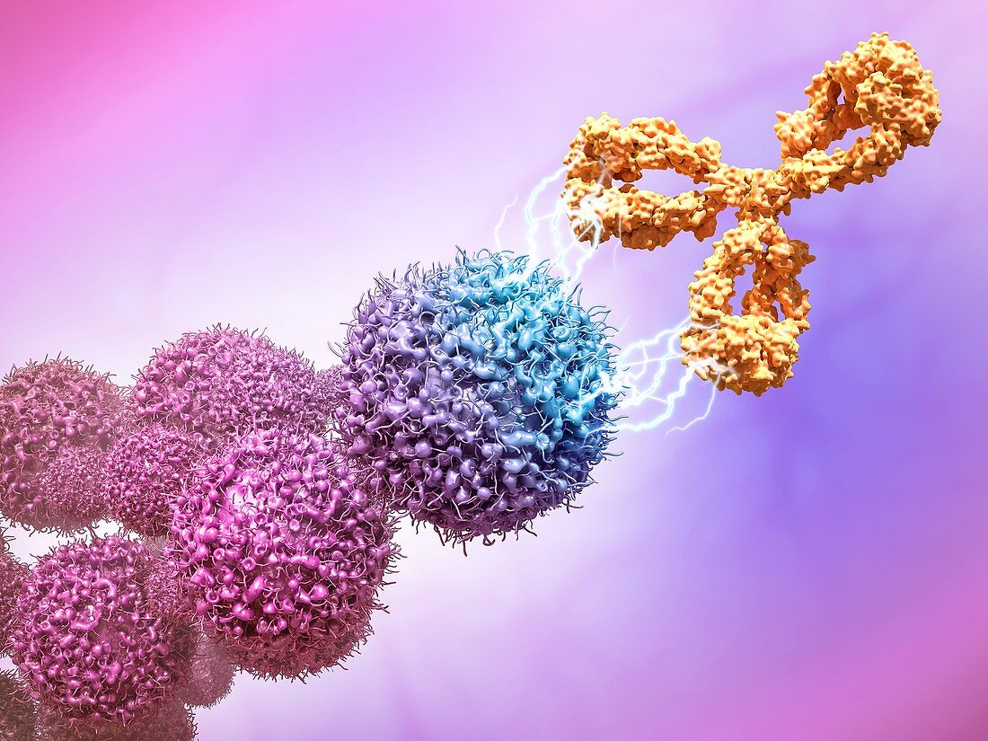 Cancer drug attacking cancer cells