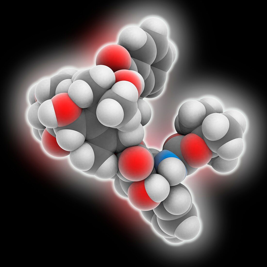 Docetaxel drug molecule