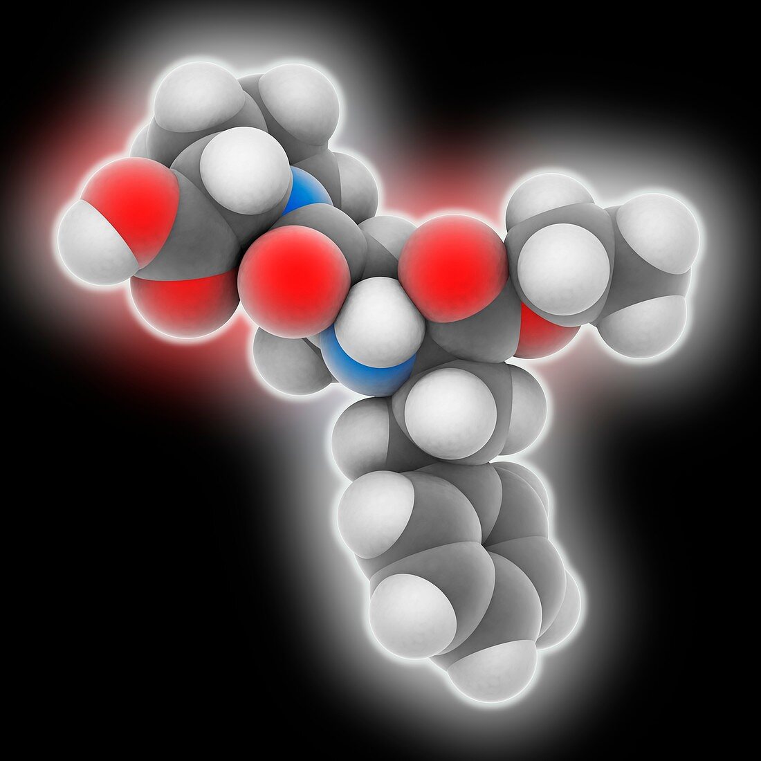 Enalapril drug molecule